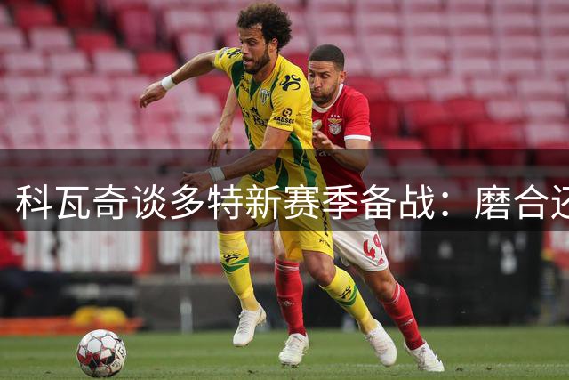 科瓦奇谈多特新赛季备战：磨合还需时间