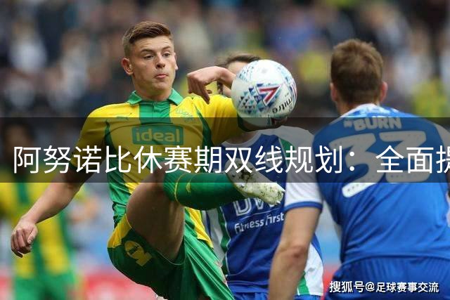 阿努诺比休赛期双线规划：全面提升技艺兼重身心恢复