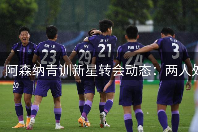 阿森纳青训新星转会动态：两人处境截然不同
